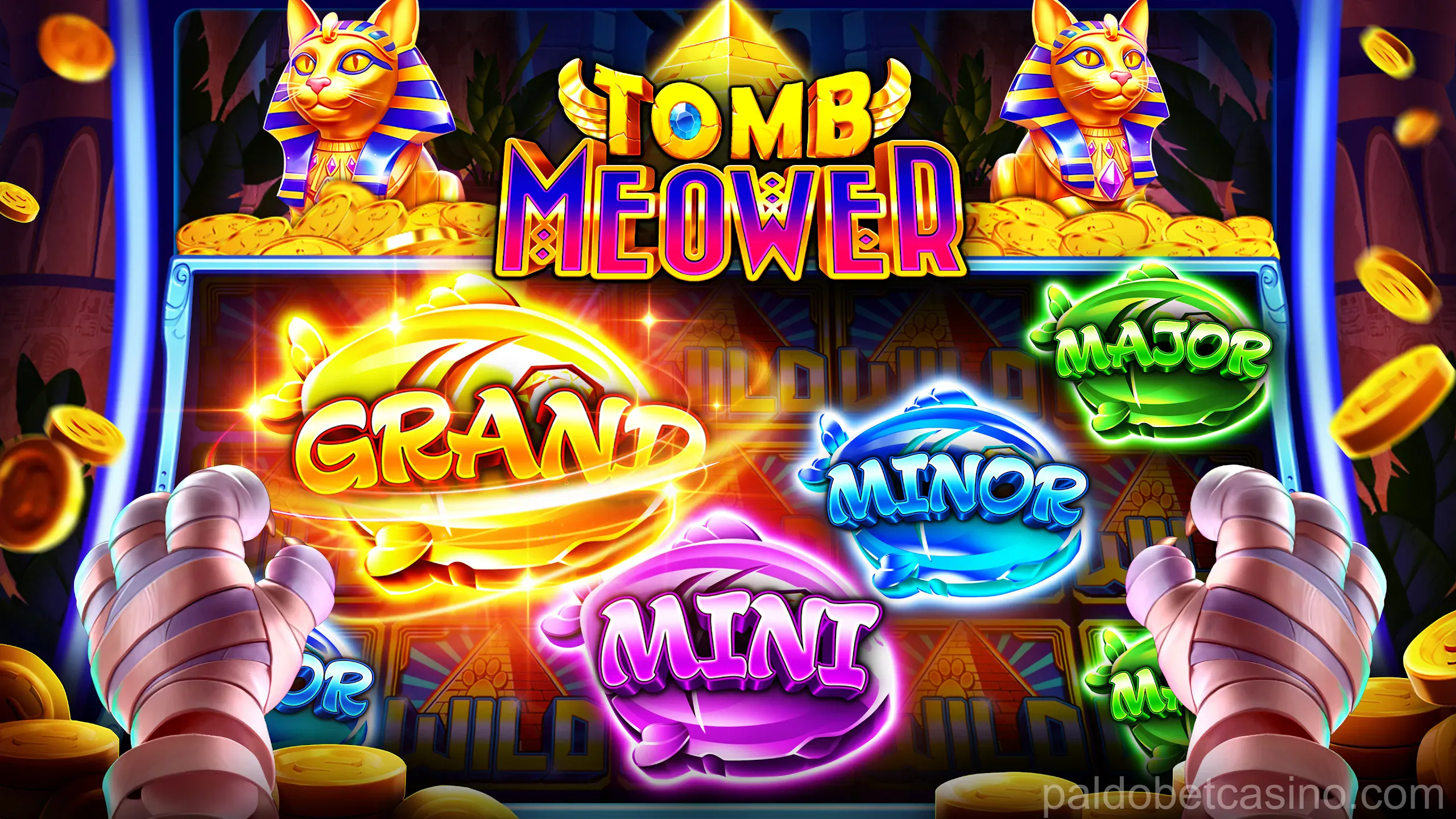 paldobet App Screenshot 4