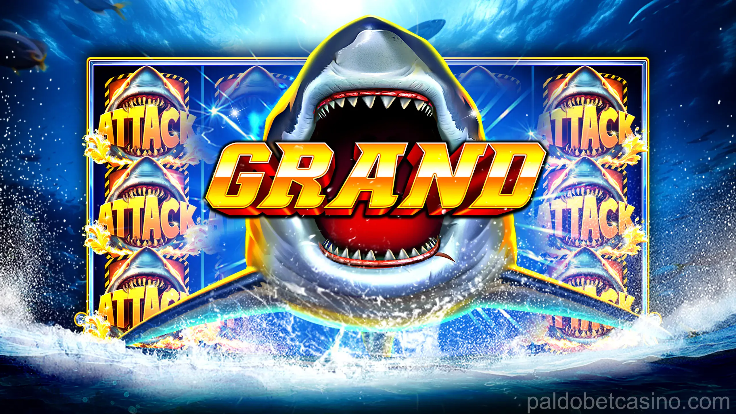 paldobet App Screenshot 1